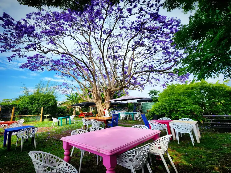 Fifth view of Homely house listing, 34 HANNAM VALE ROAD, Moorland NSW 2443