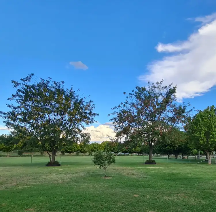 Second view of Homely rural property listing, 5 Melaleuca Drive, Wellington NSW 2820