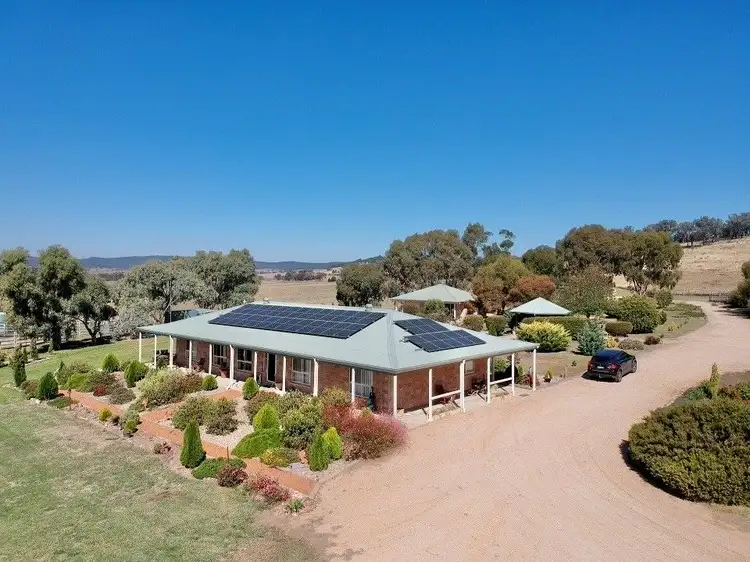 3374 MURRINGO ROAD, Young NSW 2594