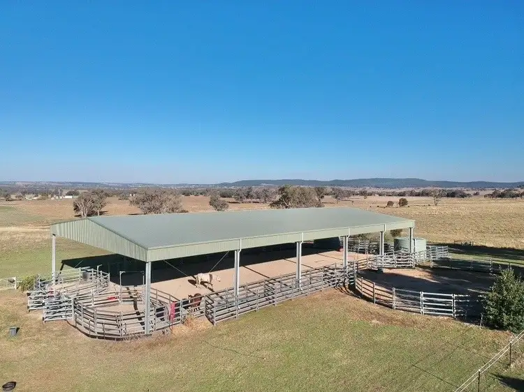 Third view of Homely rural property listing, 3374 MURRINGO ROAD, Young NSW 2594
