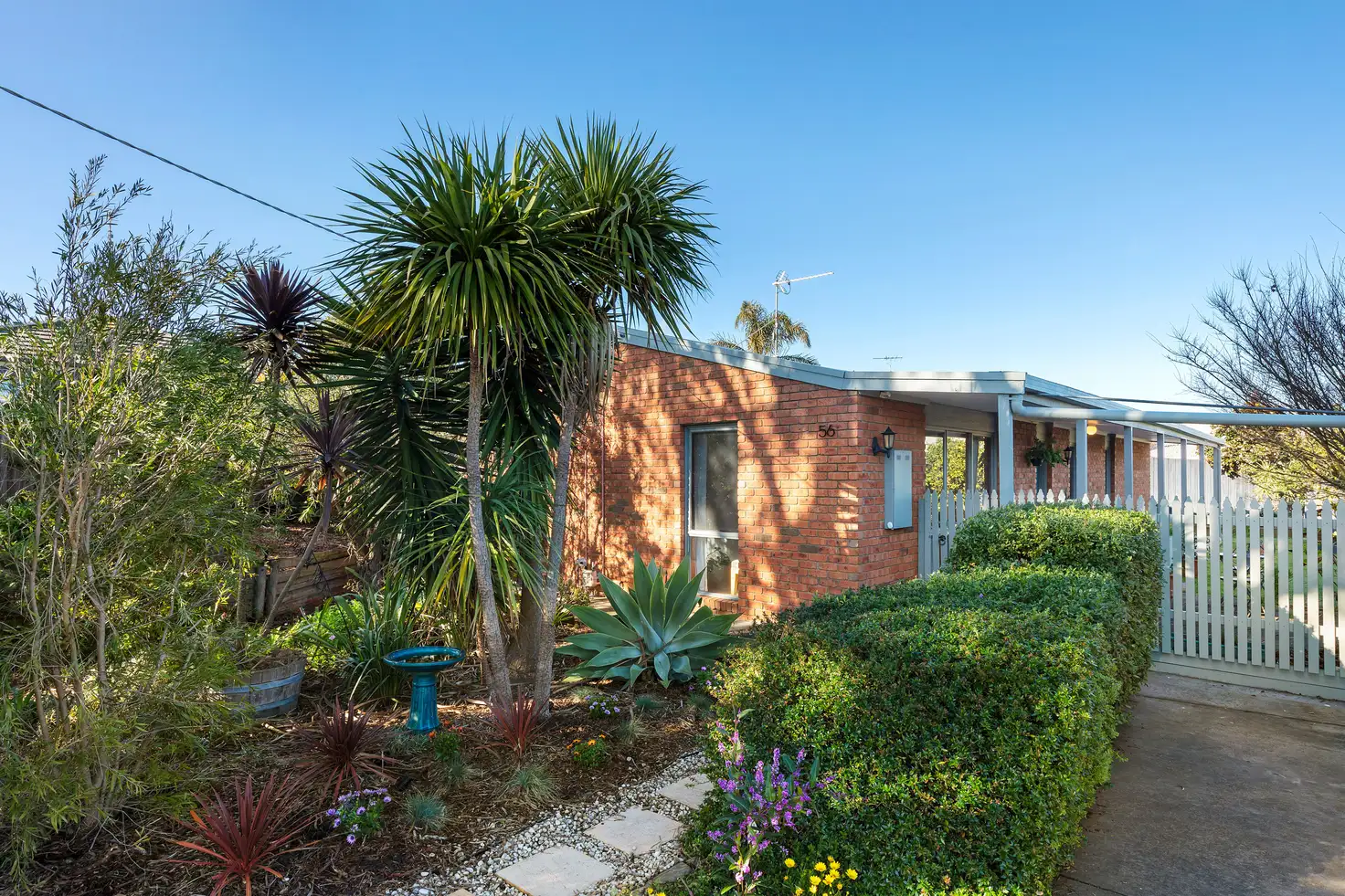 Main view of Homely house listing, 56 THAMBALLINA ROAD, Clifton Springs VIC 3222
