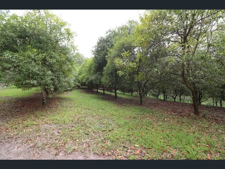 Second view of Homely rural property listing, 137 BROWNS ROAD, Yarrahapinni NSW 2441