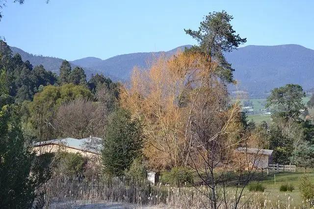 253 SWAMP ROAD, Franklin TAS 7113