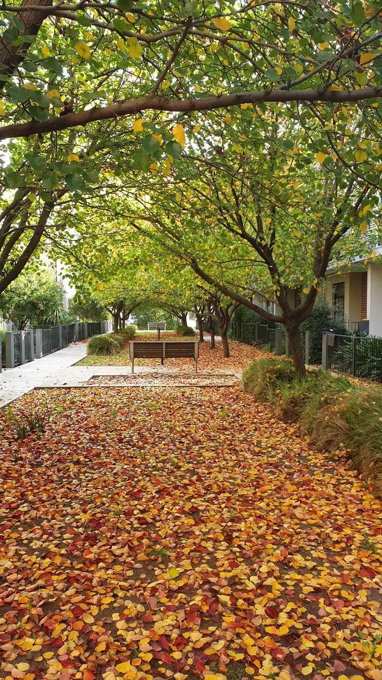 Fourth view of Homely townhouse listing, UNIT 18/20 HEWITT AVENUE, Footscray VIC 3011