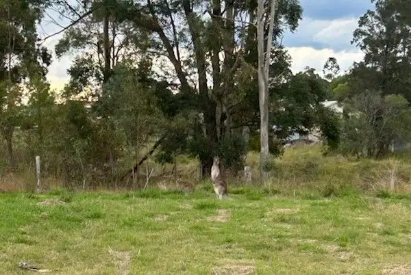 Sixth view of Homely land listing, 22a Fortune Court, Southside QLD 4570