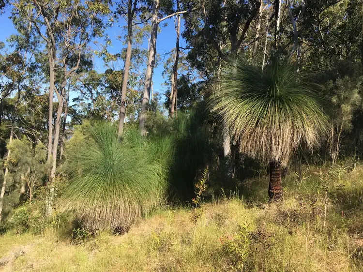 Sixth view of Homely land listing, Lot 73 Lillipilli Close, Booral NSW 2425