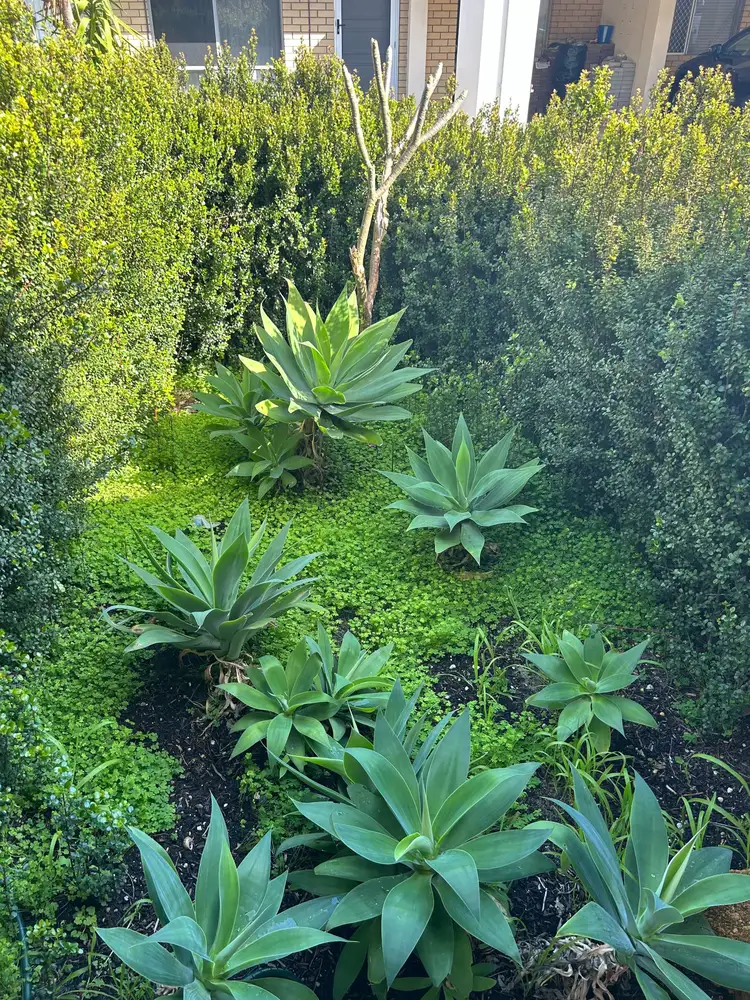 Seventh view of Homely unit listing, VILLA 6/109 ALBERT STREET, Osborne Park WA 6017