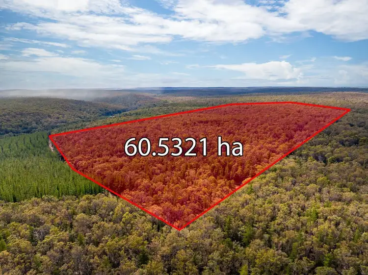 Fourth view of Homely rural property listing, Folly Road, Nannup WA 6275