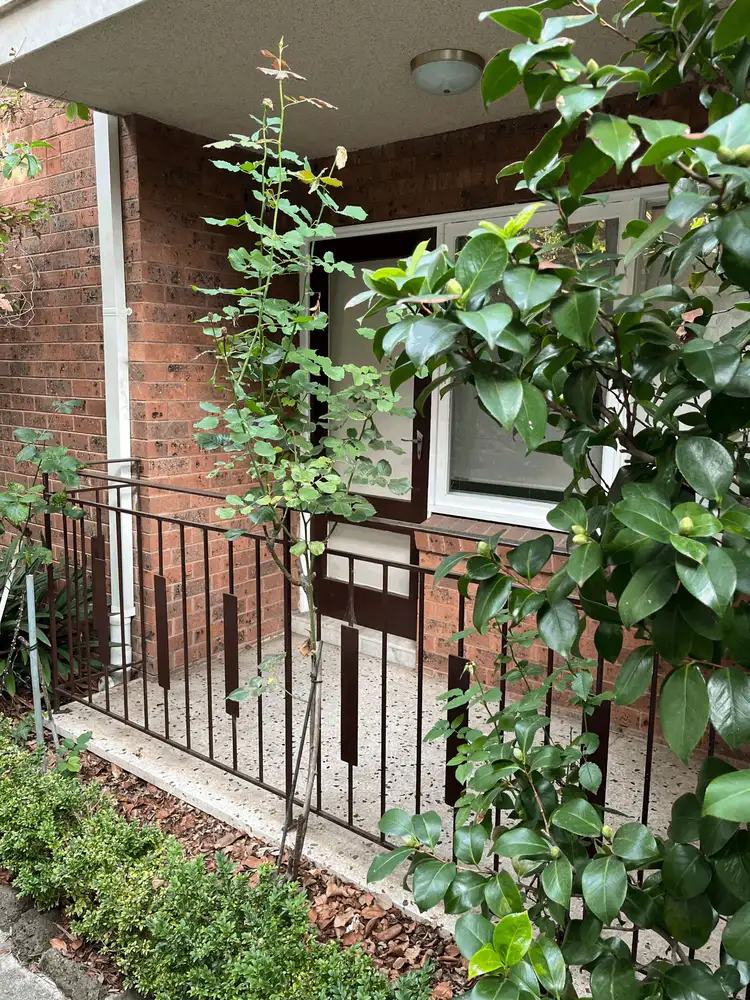 Fourth view of Homely apartment listing, UNIT 2/58 AUBURN ROAD, Hawthorn VIC 3122