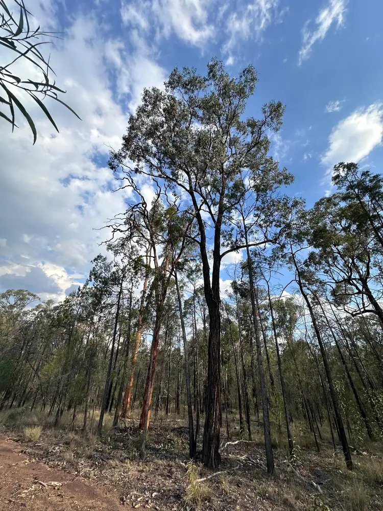 Fifth view of Homely land listing, 15778 Surat Development Road, Goranba QLD 4421