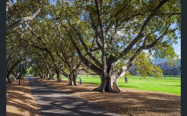 Sixth view of Homely unit listing, UNIT 17/539 St Kilda Road, Melbourne VIC 3004