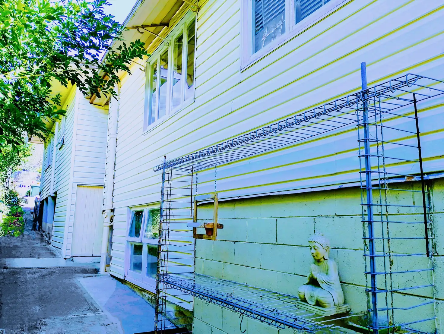 Main view of Homely house listing, 16 LOVE STREET, Holland Park QLD 4121