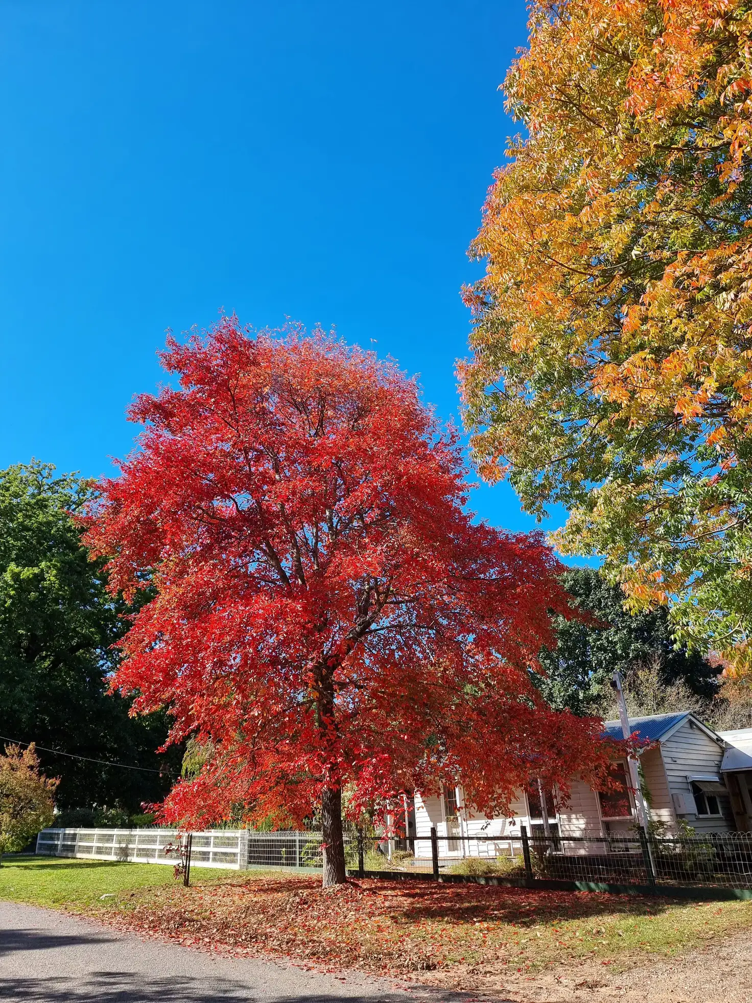 Main view of Homely house listing, 30 Grey Street, Jamieson VIC 3723