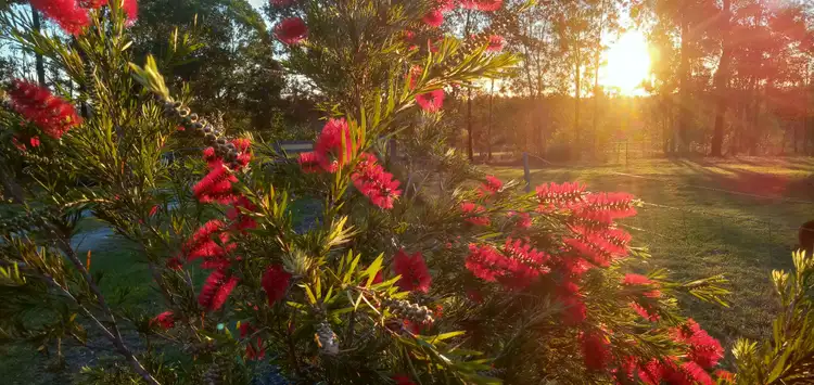 Sixth view of Homely land listing, lot 13 Tullymorgan Road, Ashby Heights NSW 2463