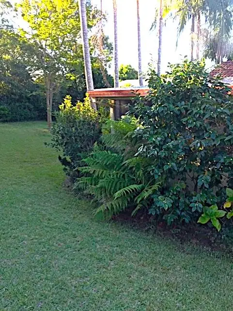 Third view of Homely house listing, 6 Bamarook Place, North Nowra NSW 2541