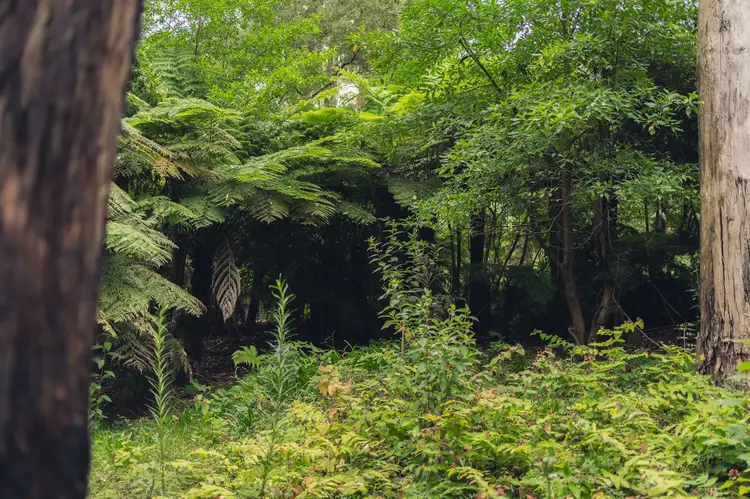 Sixth view of Homely land listing, 9 Doughtys Road, Kalorama VIC 3766