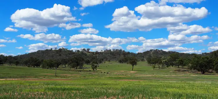 Fifth view of Homely rural property listing, 204 Uamby Road, Gulgong NSW 2852