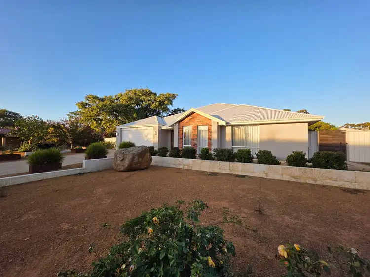 49 Argus Street, Narrogin WA 6312