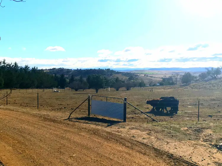 Seventh view of Homely rural property listing, 18 Bunyanvale Road, Bunyan NSW 2630
