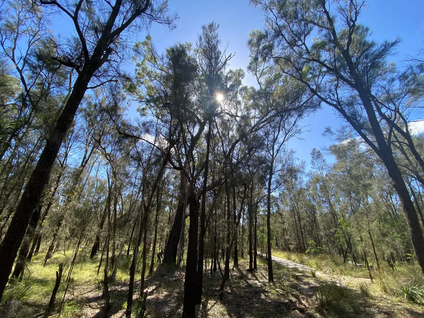 Main view of Homely land listing, Address available on request