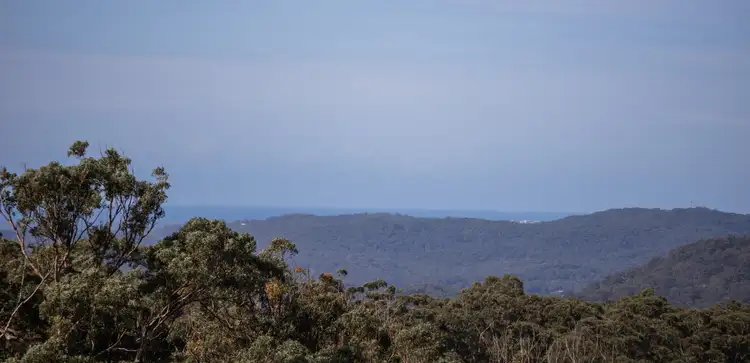 Fourth view of Homely rural property listing, 746 Cooloolabin Road, Cooloolabin QLD 4560