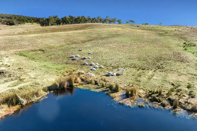 Third view of Homely rural property listing, 230 Marian Vale Road, Boxers Creek NSW 2580