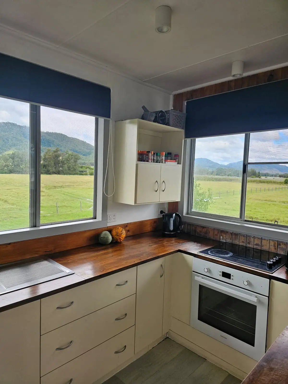 Main view of Homely rural property listing, 129 The Bucketts Way, Gloucester NSW 2422