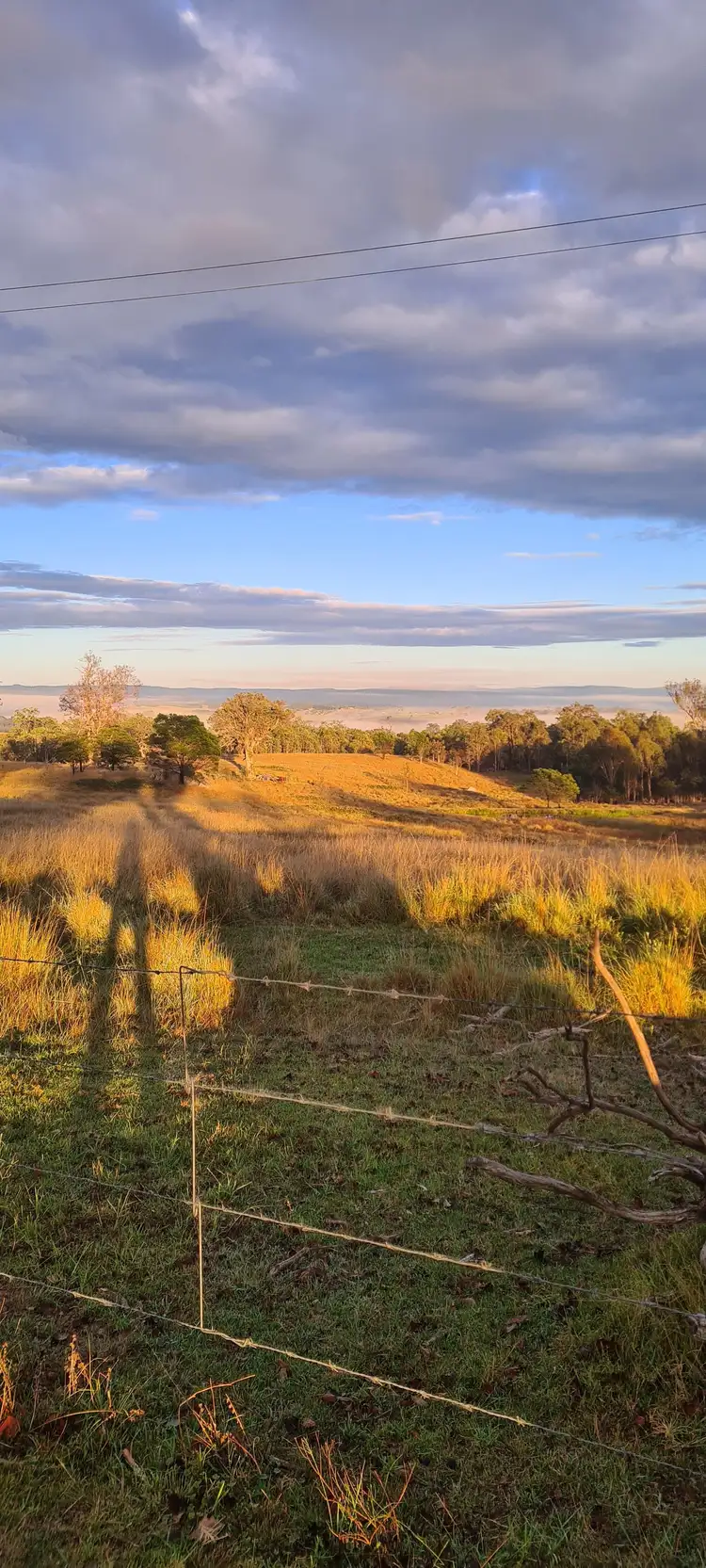 15 Newlyns Place, Frogs Hollow NSW 2550