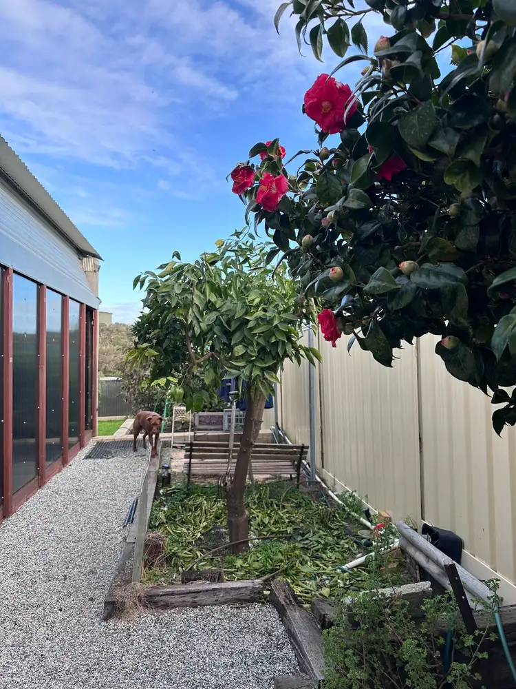Fourth view of Homely house listing, 21 Valentine Way, Australind WA 6233