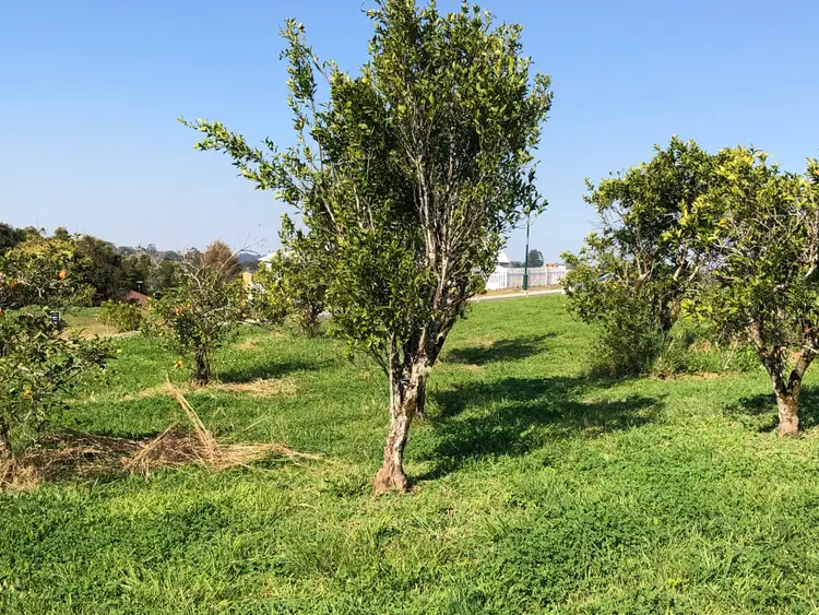 Seventh view of Homely land listing, 20 Laurel Street, Maleny QLD 4552