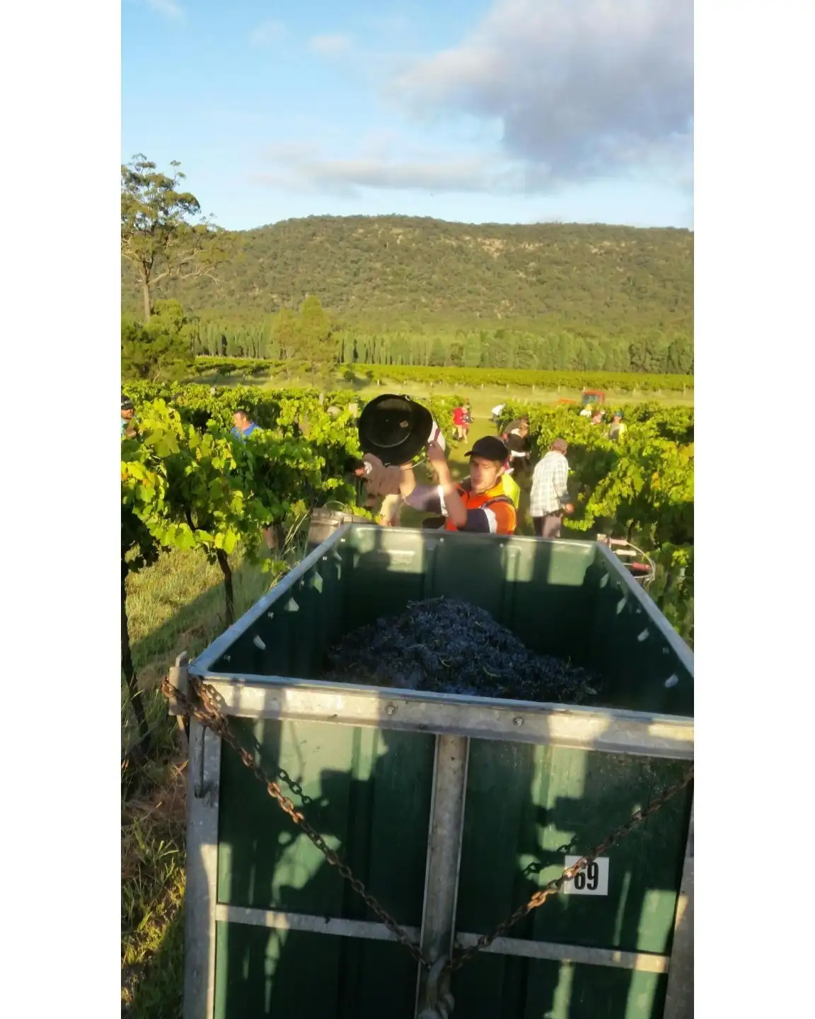 Main view of Homely rural property listing, 2040 Golden Highway, Sandy Hollow NSW 2333