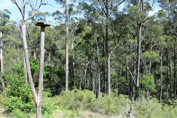 Third view of Homely rural property listing, 82A Duffy Road, Briagolong VIC 3860