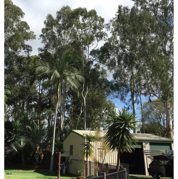 Fifth view of Homely house listing, 5 Trinidad Terrace, Deception Bay QLD 4508