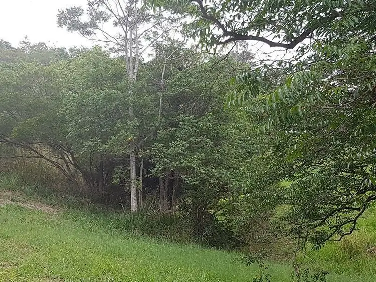 Fourth view of Homely land listing, 57 Whispering Gum Avenue, Eumundi QLD 4562