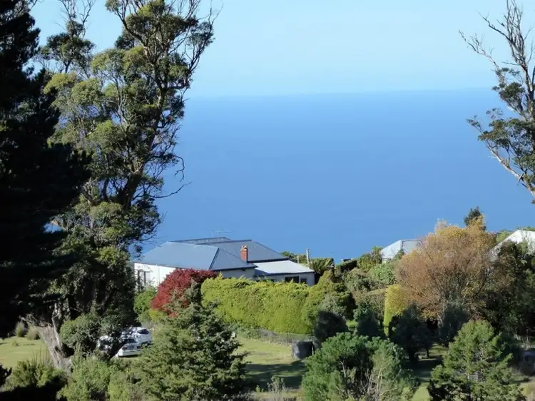 300 Mount Elephant Road, Gray TAS 7215