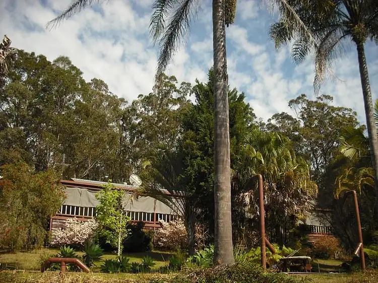 Second view of Homely rural property listing, 2019 Collombatti Road, Collombatti NSW 2440