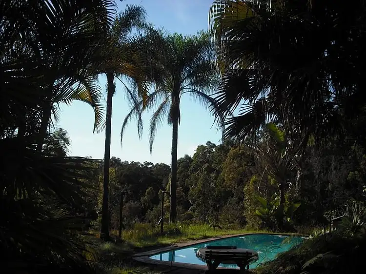 Fifth view of Homely rural property listing, 2019 Collombatti Road, Collombatti NSW 2440