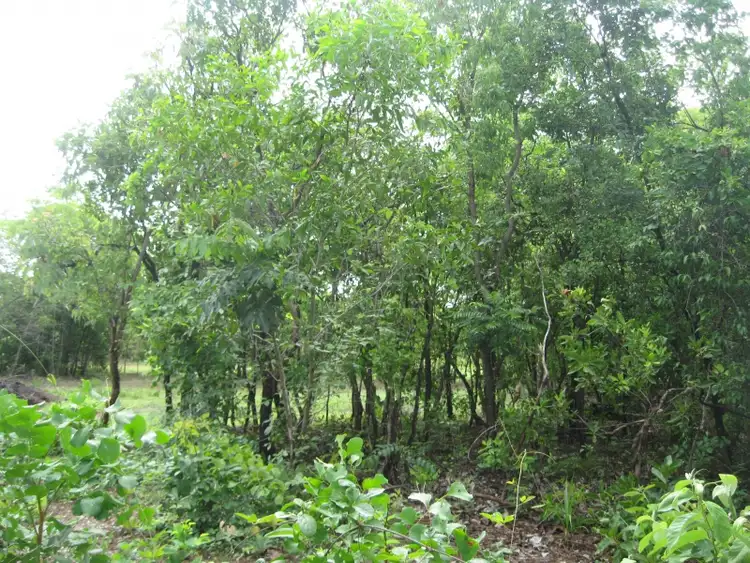 Sixth view of Homely land listing, Lot 3269/115 Andreas Avenue, Dundee Beach NT 840