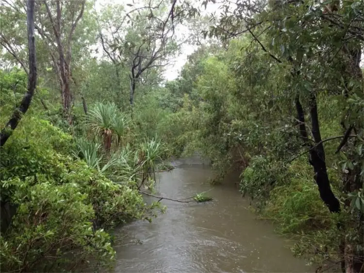 Sixth view of Homely rural property listing, 8109 Stuart Highway, Adelaide River NT 846
