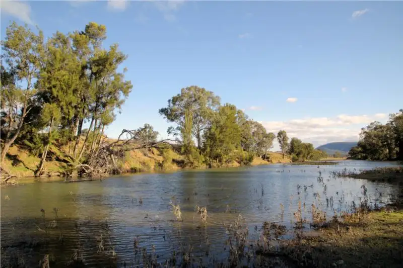 Main view of Homely rural property listing, 2662 Caroda Road, Elcombe NSW 2404