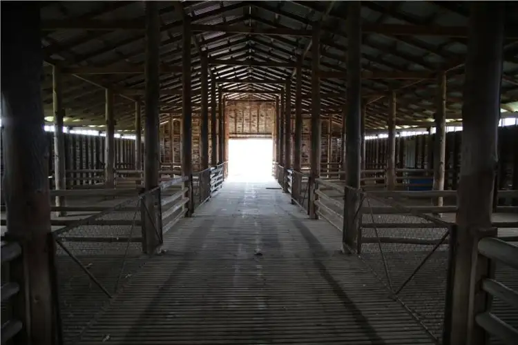 Fourth view of Homely rural property listing, 2662 Caroda Road, Elcombe NSW 2404