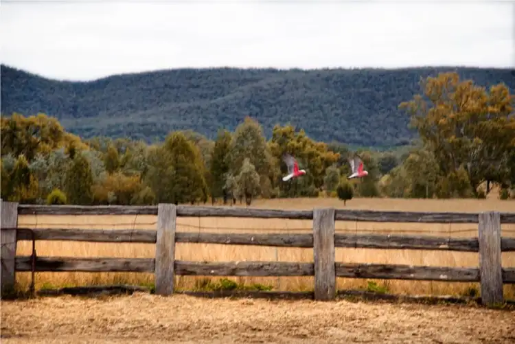 Sixth view of Homely rural property listing, 2662 Caroda Road, Elcombe NSW 2404