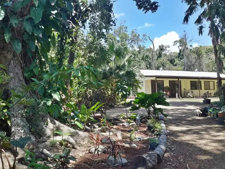 Main view of Homely house listing, 39 Endeavour Valley Road, Cooktown QLD 4895