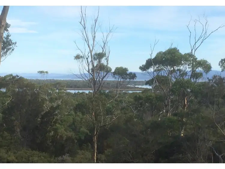 Third view of Homely land listing, 1645 Coles Bay Road, Coles Bay TAS 7215
