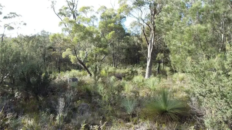 Fifth view of Homely land listing, 1645 Coles Bay Road, Coles Bay TAS 7215