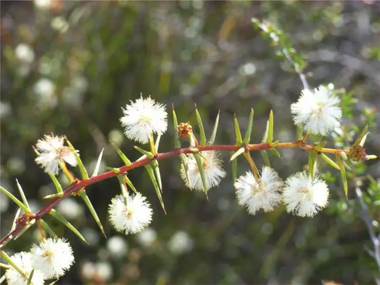 Sixth view of Homely land listing, 1645 Coles Bay Road, Coles Bay TAS 7215