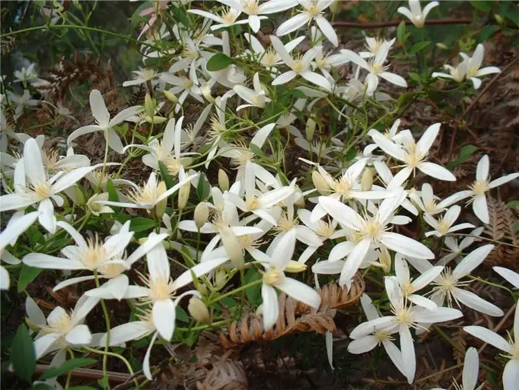 Seventh view of Homely land listing, 1645 Coles Bay Road, Coles Bay TAS 7215