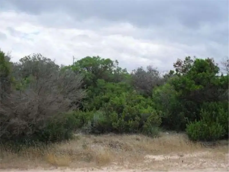 Main view of Homely land listing, 129 The Esplanade, Thompson Beach SA 5501