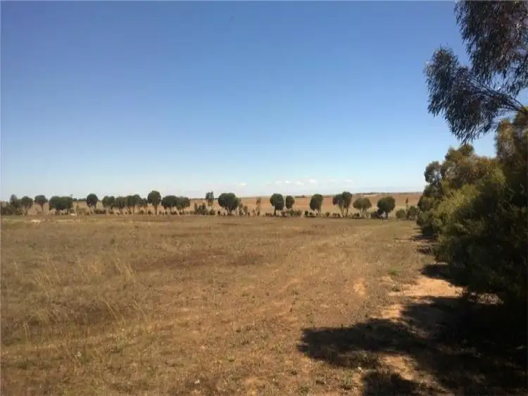 88 Murrawong Road, Burdett SA 5253