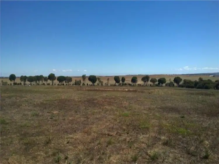 Sixth view of Homely land listing, 88 Murrawong Road, Burdett SA 5253